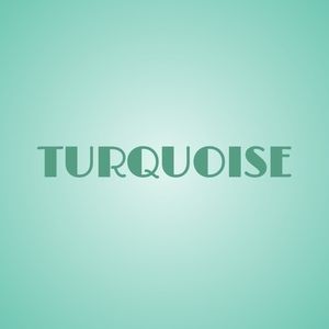 TURQUOISE GROUP